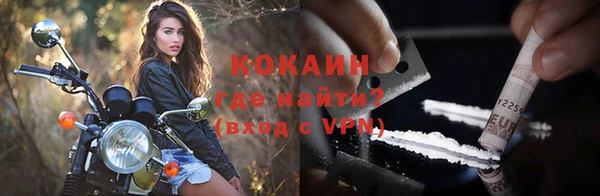 бошки Горняк