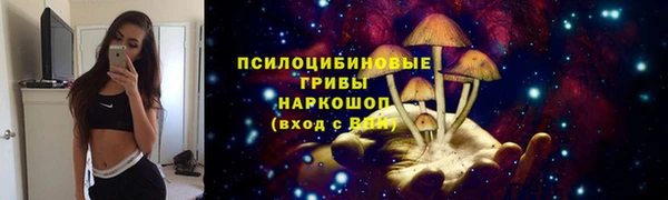 mdpv Горнозаводск
