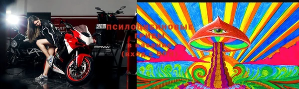 mdpv Горнозаводск
