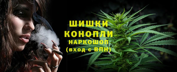 mdpv Горнозаводск
