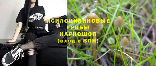 наркотики Горно-Алтайск