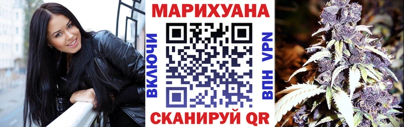 Канабис гибрид  Рошаль 